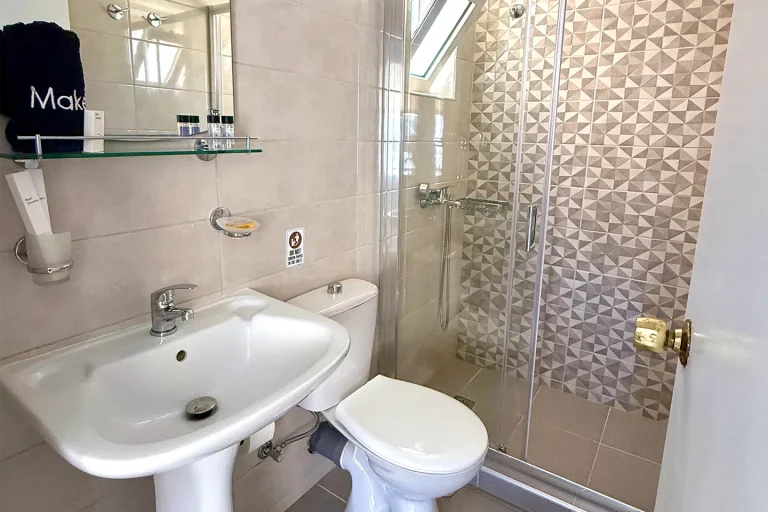 Δίκλινο Δωμάτιο τύπου Studio με Μπαλκόνι και θέα στο βουνό